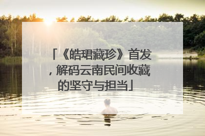 《皓珺藏珍》首发，解码云南民间收藏的坚守与担当