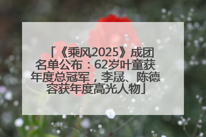 《乘风2025》成团名单公布：62岁叶童获年度总冠军，李晟、陈德容获年度高光人物