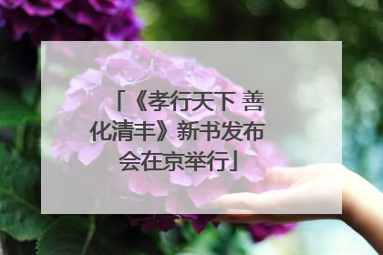 《孝行天下 善化清丰》新书发布会在京举行