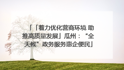 「着力优化营商环境 助推高质量发展」瓜州：“全天候”政务服务惠企便民
