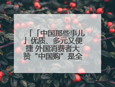 「中国那些事儿」优质、多元又便捷 外国消费者大赞“中国购”是全新体验！
