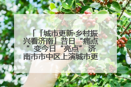 「城市更新·乡村振兴看济南」昔日“痛点”变今日“亮点” 济南市市中区上演城市更新“三部曲”