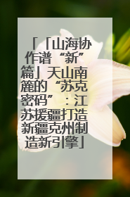 「山海协作谱“新”篇」天山南簏的“苏克密码”：江苏援疆打造新疆克州制造新引擎