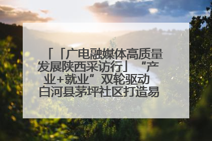 「广电融媒体高质量发展陕西采访行」“产业+就业”双轮驱动 白河县茅坪社区打造易地搬迁后扶新样本