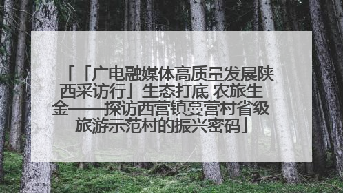 「广电融媒体高质量发展陕西采访行」生态打底 农旅生金——探访西营镇蔓营村省级旅游示范村的振兴密码