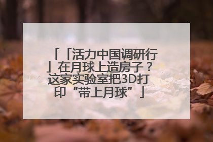 「活力中国调研行」在月球上造房子？这家实验室把3D打印“带上月球”