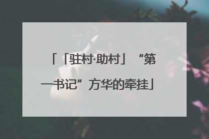 「驻村·助村」“第一书记”方华的牵挂