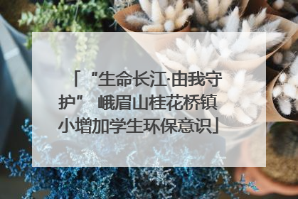 “生命长江·由我守护” 峨眉山桂花桥镇小增加学生环保意识
