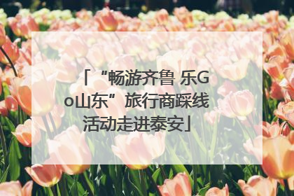 “畅游齐鲁 乐Go山东”旅行商踩线活动走进泰安