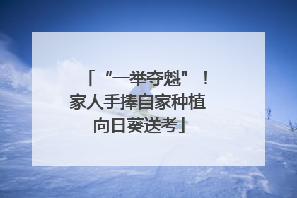 “一举夺魁”！家人手捧自家种植向日葵送考