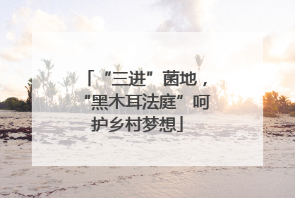 “三进”菌地，“黑木耳法庭”呵护乡村梦想