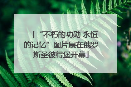 “不朽的功勋 永恒的记忆”图片展在俄罗斯圣彼得堡开幕
