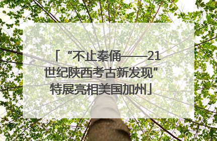 “不止秦俑——21世纪陕西考古新发现”特展亮相美国加州