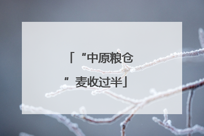 “中原粮仓”麦收过半