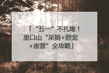 “五一”不扎堆！里口山“采摘+撸宠+露营”全攻略