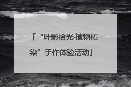“叶影拾光·植物拓染”手作体验活动