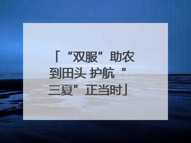 “双服”助农到田头 护航“三夏”正当时