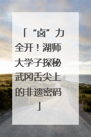 “卤”力全开！湖师大学子探秘武冈舌尖上的非遗密码