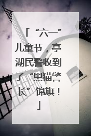 “六一”儿童节，亭湖民警收到了“黑猫警长”锦旗！