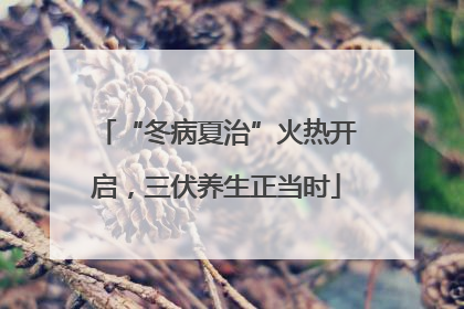 “冬病夏治”火热开启，三伏养生正当时