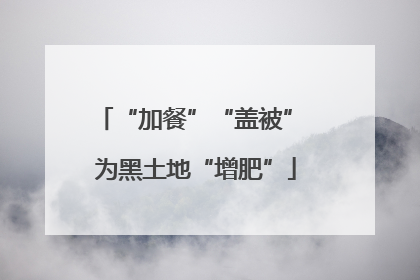“加餐”“盖被” 为黑土地“增肥”
