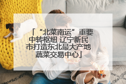 “北菜南运”重要中转枢纽 辽宁新民市打造东北最大产地蔬菜交易中心