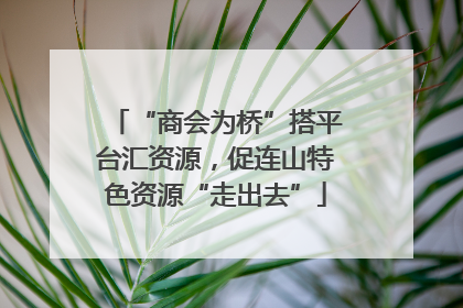 “商会为桥”搭平台汇资源，促连山特色资源“走出去”