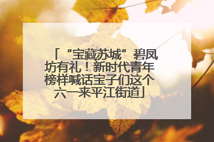 “宝藏苏城”碧凤坊有礼！新时代青年榜样喊话宝子们这个六一来平江街道