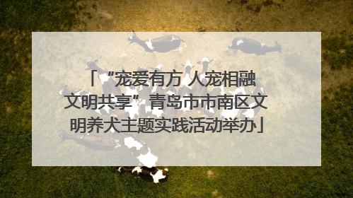 “宠爱有方 人宠相融 文明共享”青岛市市南区文明养犬主题实践活动举办