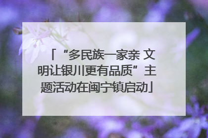 “多民族一家亲 文明让银川更有品质”主题活动在闽宁镇启动