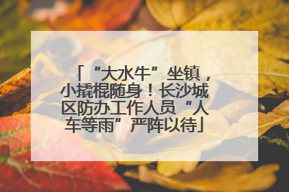 “大水牛”坐镇，小撬棍随身！长沙城区防办工作人员“人车等雨”严阵以待