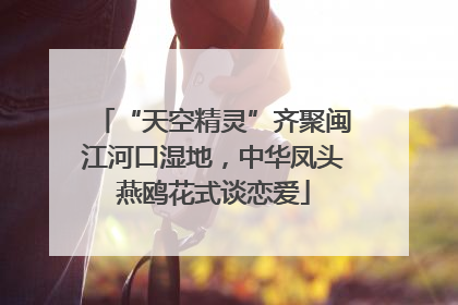 “天空精灵”齐聚闽江河口湿地，中华凤头燕鸥花式谈恋爱