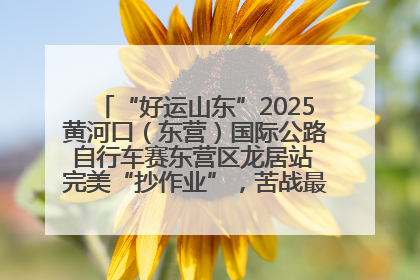 “好运山东”2025黄河口（东营）国际公路自行车赛东营区龙居站 完美“抄作业”，苦战最后时刻黄衫易主