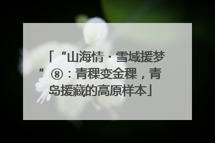 “山海情・雪域援梦”⑧：青稞变金稞，青岛援藏的高原样本