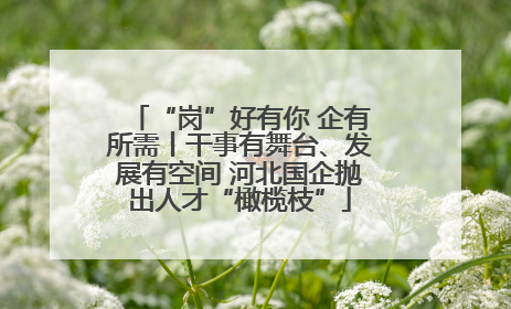 “岗”好有你 企有所需丨干事有舞台、发展有空间 河北国企抛出人才“橄榄枝”