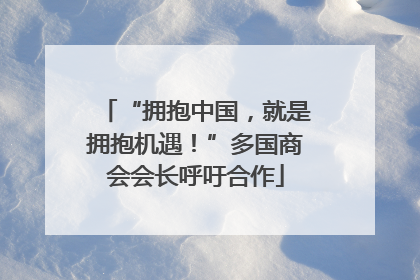 “拥抱中国，就是拥抱机遇！”多国商会会长呼吁合作