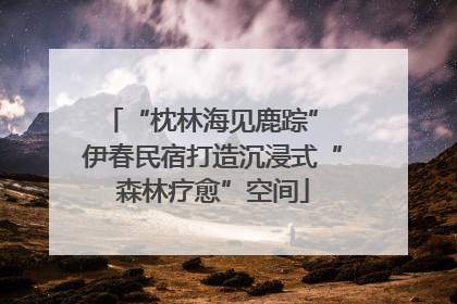 “枕林海见鹿踪” 伊春民宿打造沉浸式“森林疗愈”空间