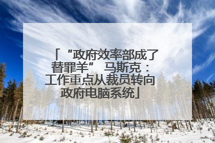 “政府效率部成了替罪羊” 马斯克：工作重点从裁员转向政府电脑系统
