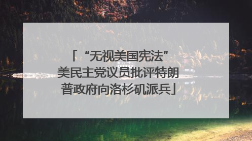 “无视美国宪法” 美民主党议员批评特朗普政府向洛杉矶派兵