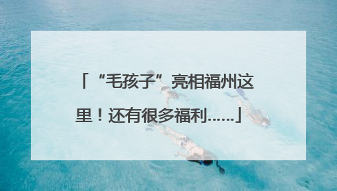 “毛孩子”亮相福州这里！还有很多福利……