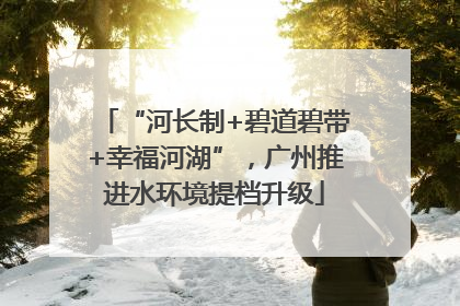 “河长制+碧道碧带+幸福河湖”，广州推进水环境提档升级