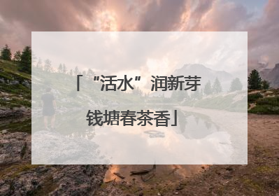 “活水”润新芽 钱塘春茶香