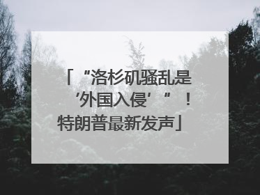 “洛杉矶骚乱是‘外国入侵’”！特朗普最新发声