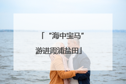 “海中宝马”游进霞浦盐田