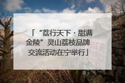 “荔行天下・甜满金陵”灵山荔枝品牌交流活动在宁举行