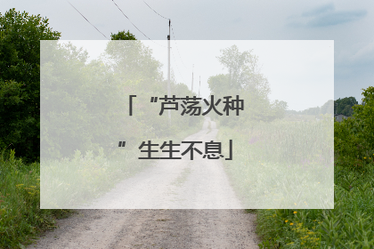 “芦荡火种”生生不息
