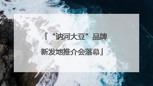 “讷河大豆”品牌新发地推介会落幕