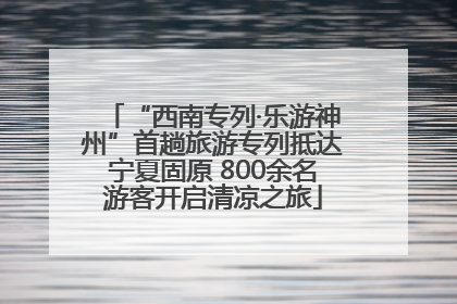 “西南专列·乐游神州”首趟旅游专列抵达宁夏固原 800余名游客开启清凉之旅