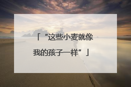 “这些小麦就像我的孩子一样”