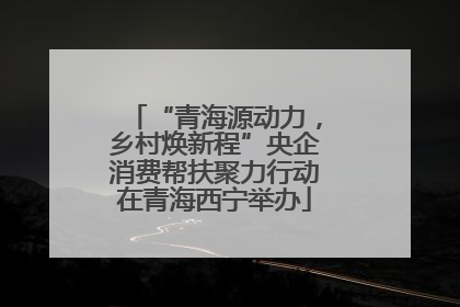 “青海源动力，乡村焕新程”央企消费帮扶聚力行动在青海西宁举办